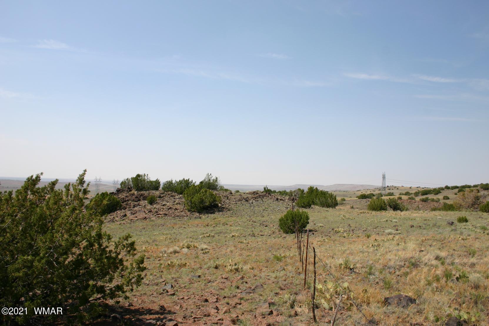 Lot 77 Big Valley Ranch Concho, AZ 85924 - Photo 2 of 7