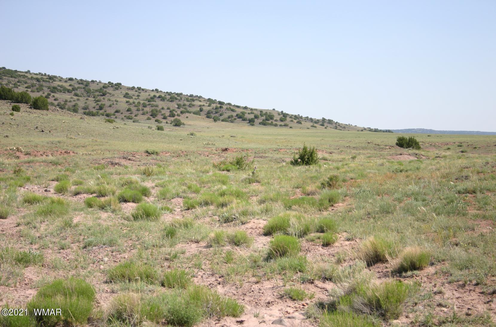 Lot 77 Big Valley Ranch Concho, AZ 85924 - Photo 3 of 7