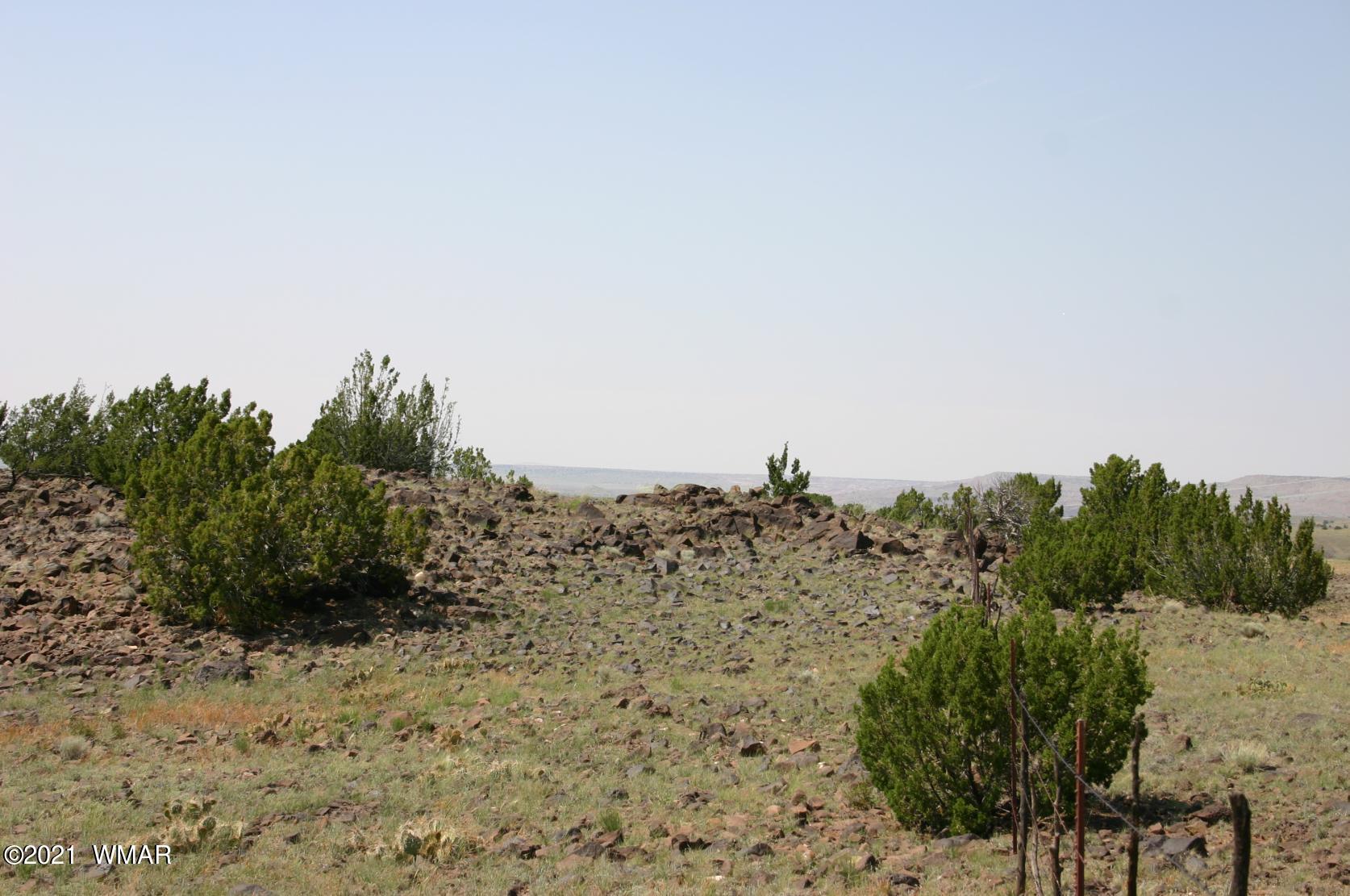Lot 77 Big Valley Ranch Concho, AZ 85924 - Photo 4 of 7