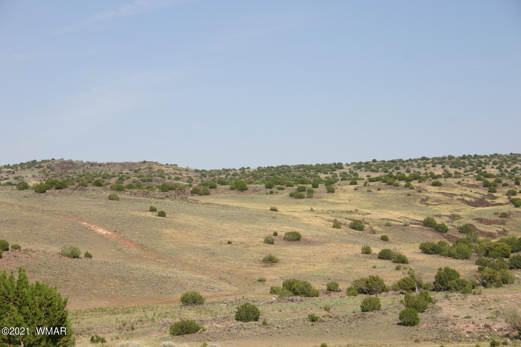 Lot 77 Big Valley Ranch Concho, AZ 85924 - Photo 5 of 7