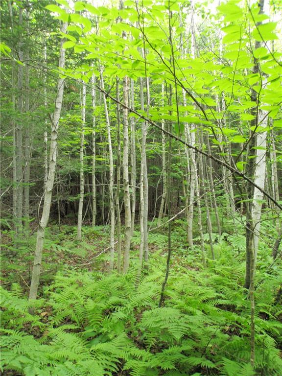 0 East E Ridge Cooper, ME 04657 - Photo 8 of 15 Photo