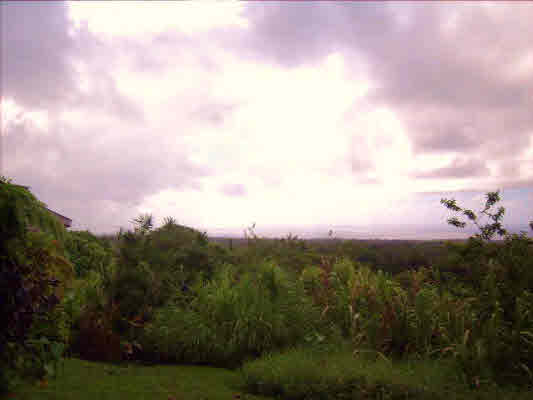Sugar Cane Road Pahoa, HI 96778 - Photo 3 of 10 Gallery Image 3