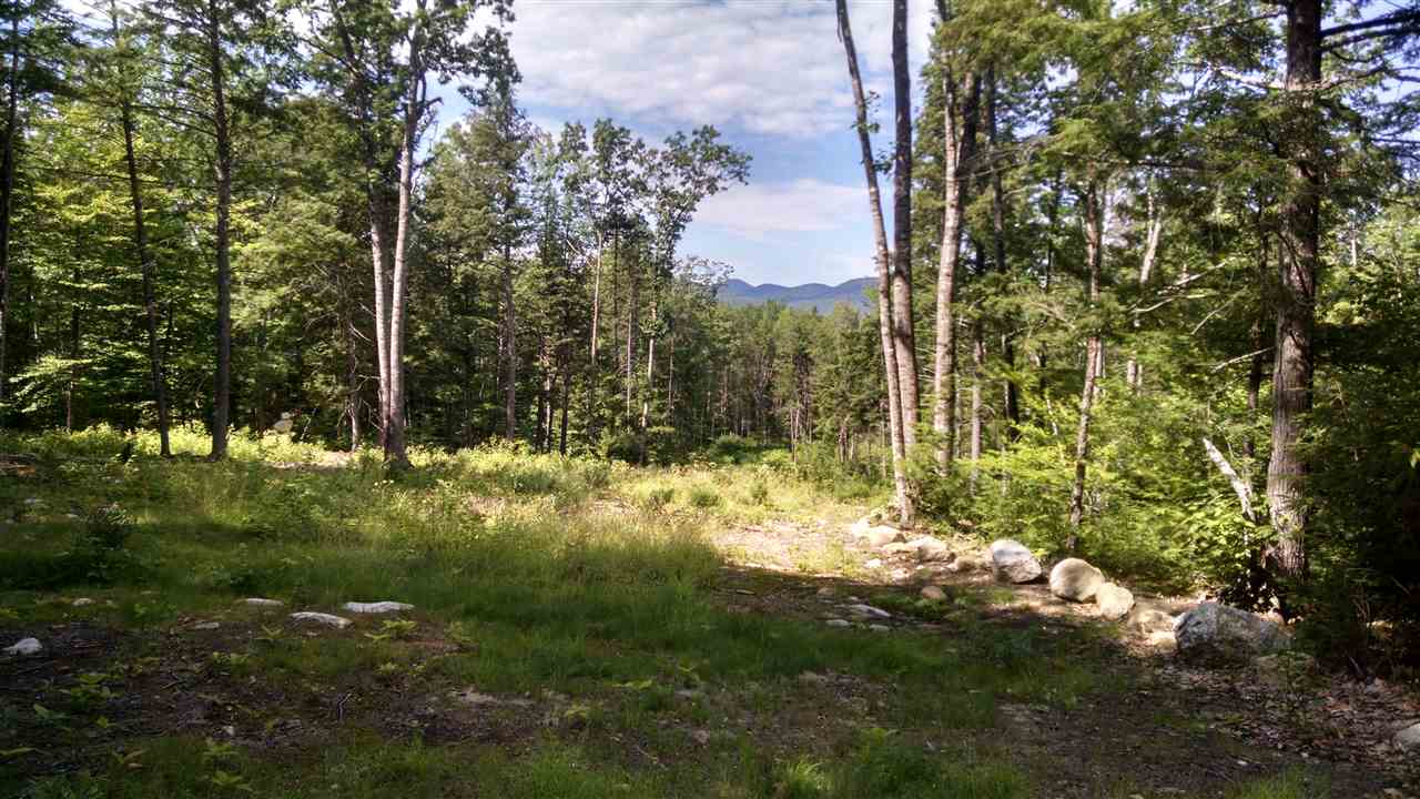 0 South Barbour Road Stow, ME 04037 - Photo 3 of 6