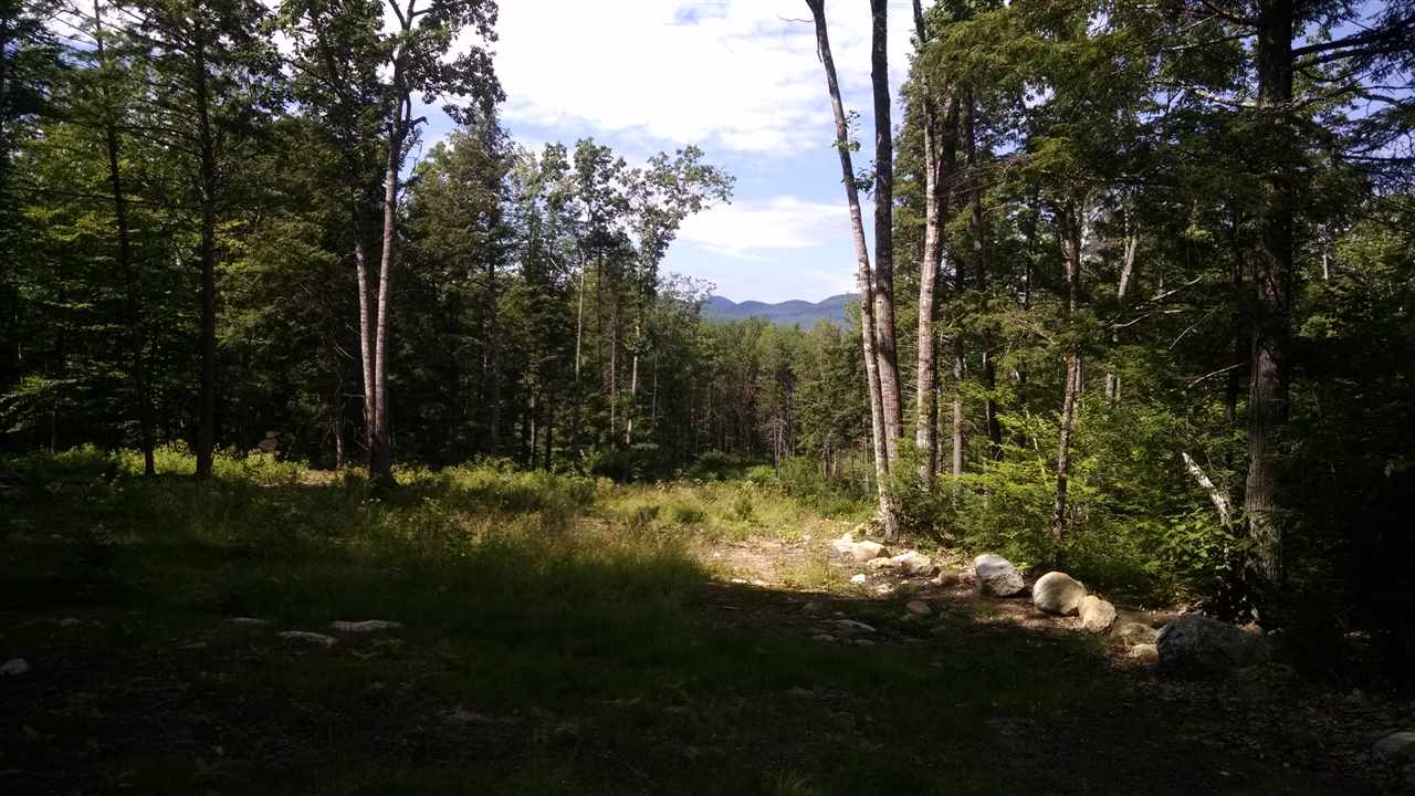 0 South Barbour Road Stow, ME 04037 - Photo 4 of 6