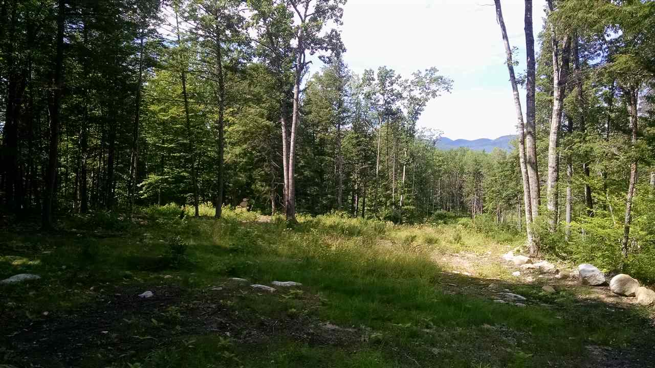 0 South Barbour Road Stow, ME 04037 - Photo 5 of 6