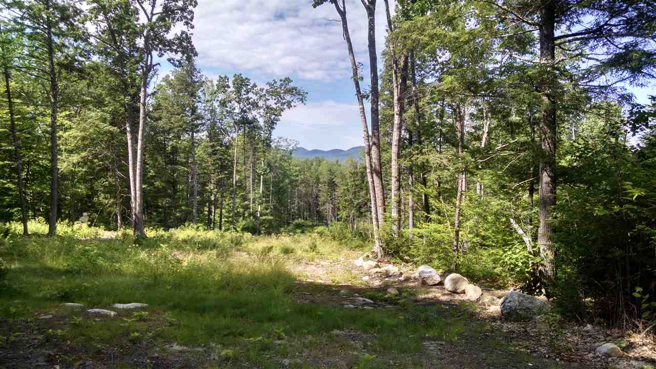 0 South Barbour Road Stow, ME 04037 - Photo 6 of 6