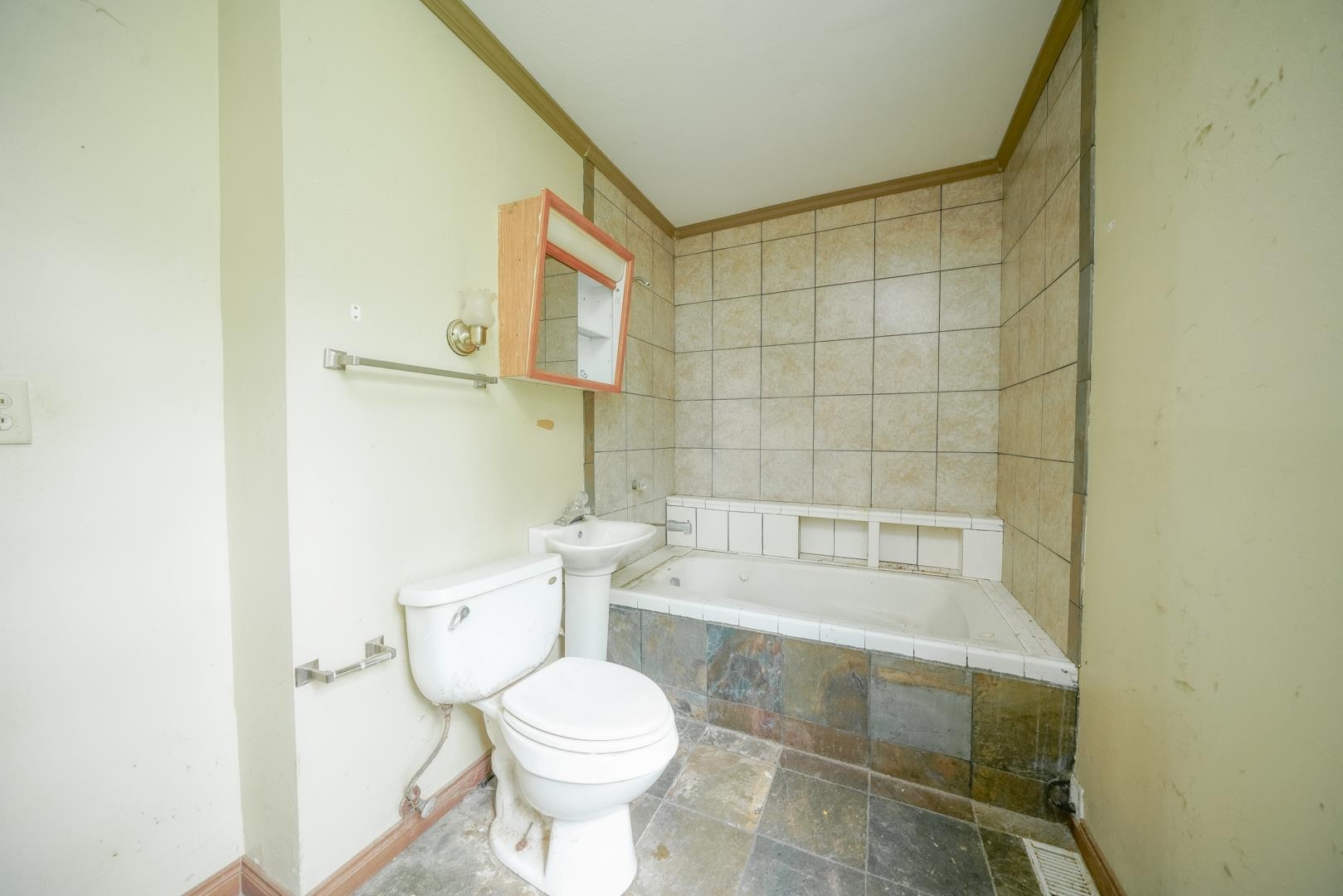 203 Adams Street Ridott, IL 61067 - Photo 11 of 24 a bathroom with a toilet and a bathtub