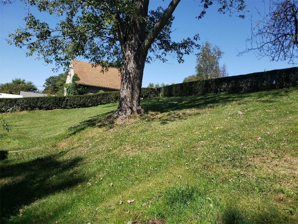 812 6th Street Rochester, PA 15074 - Photo 2 of 8 a view of a garden with a tree