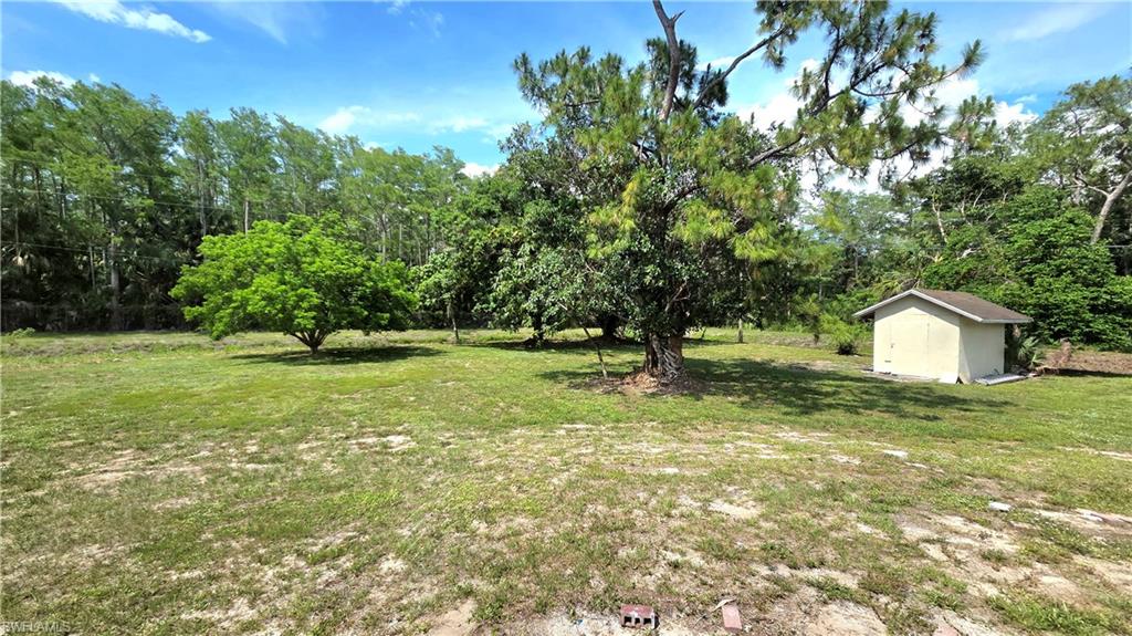 5529 Hardee Street Naples, FL 34113 - Photo 15 of 17 Expansive grassy area featuring mature trees and a detached shed with a gabled roof