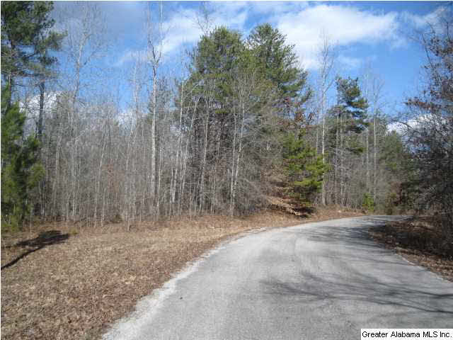 Turkey Ridge, Unit 36 Ragland, AL 35131 - Photo 1 of 13