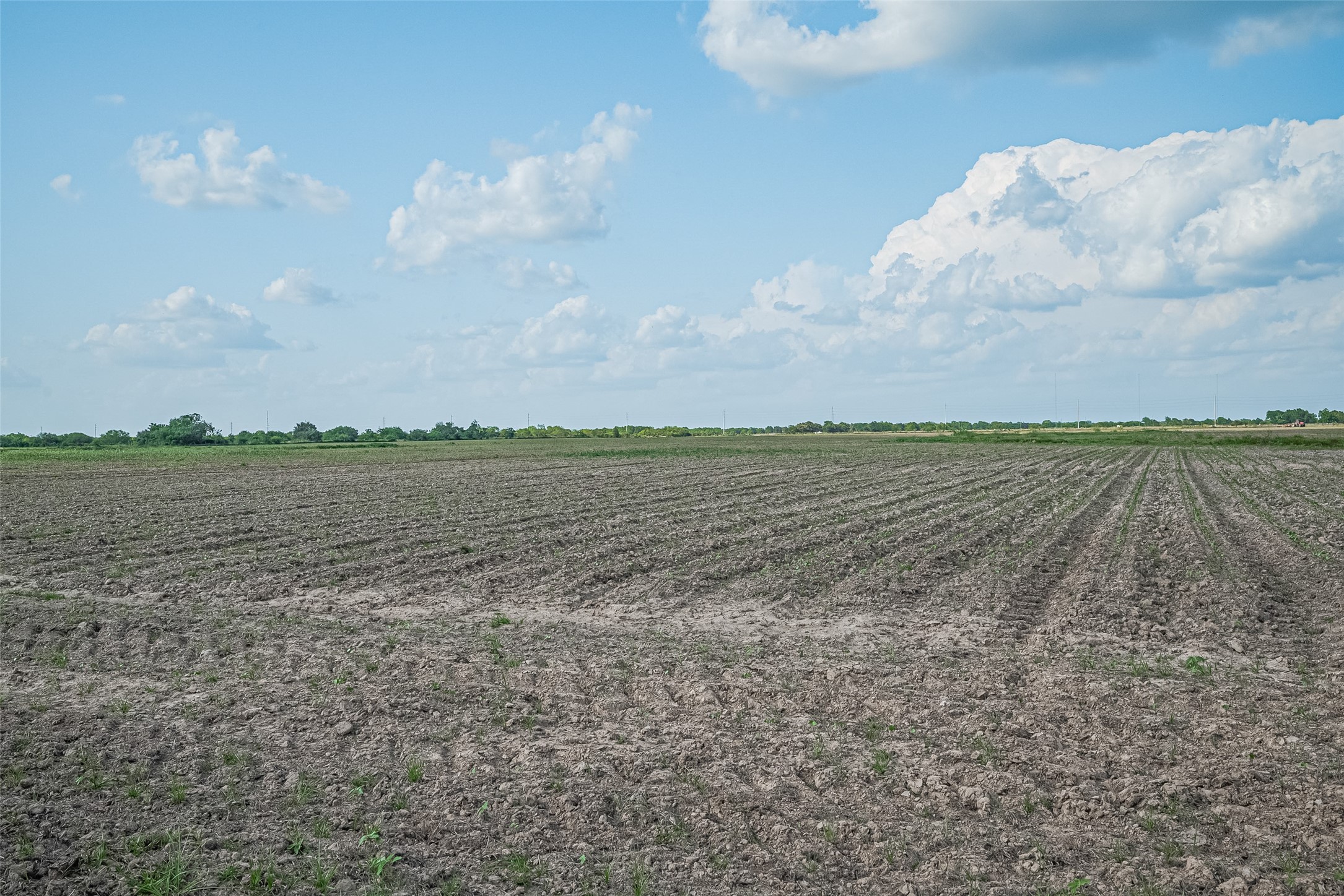 0 Johnston Road Wallis, TX 77485 - Photo 4 of 12 a view of an ocean