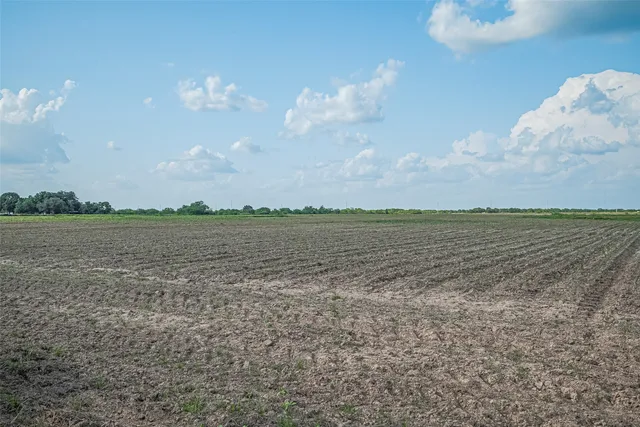 $1,800,000 | 0 Johnston Road, Wallis, TX 77485