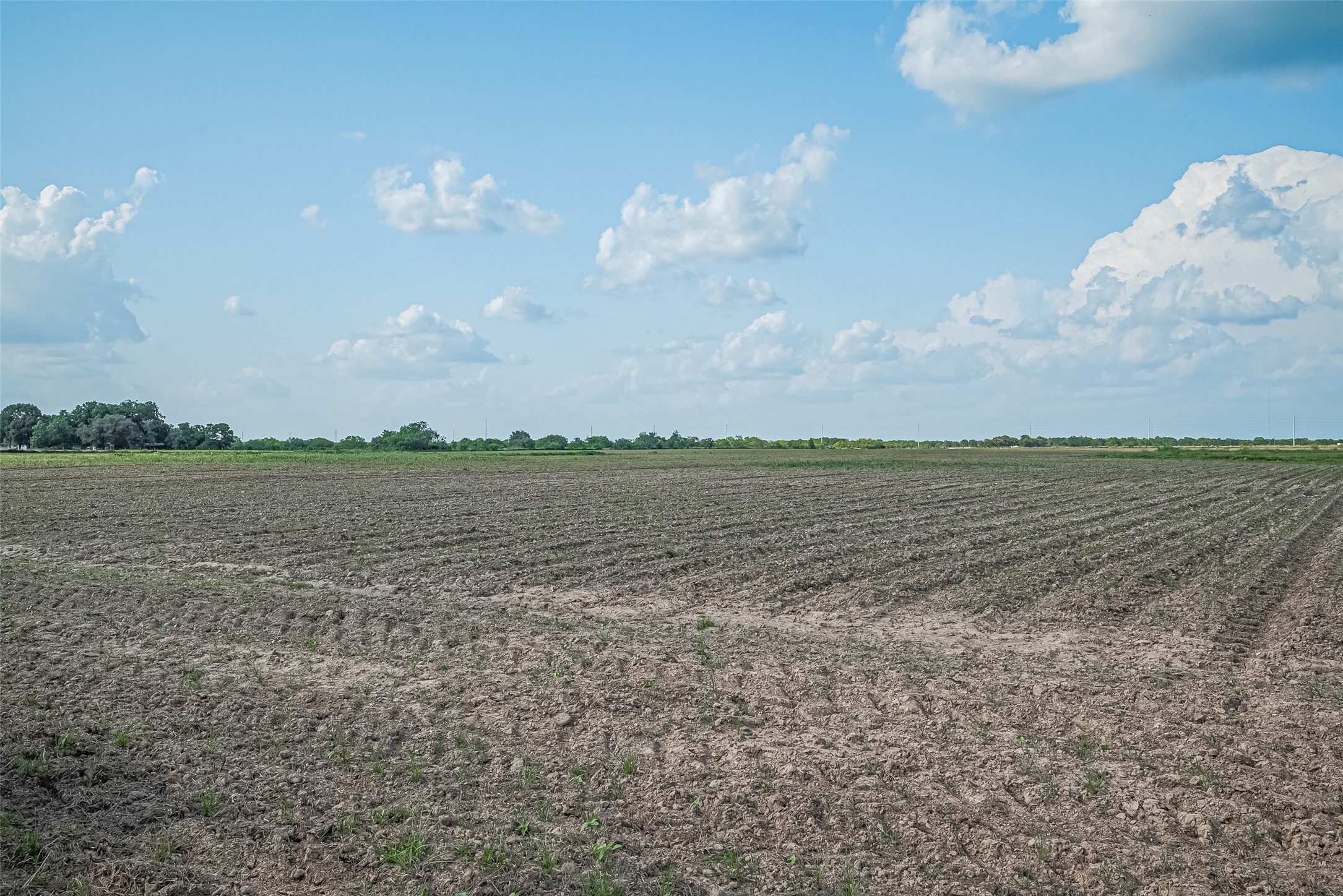 0 Johnston Road Wallis, TX 77485 - Photo 5 of 12 a view of a lake view