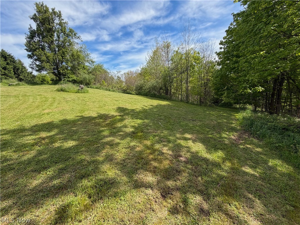 44073 Bell Road Lisbon, OH 44432 - Photo 14 of 49 Gallery Image 14