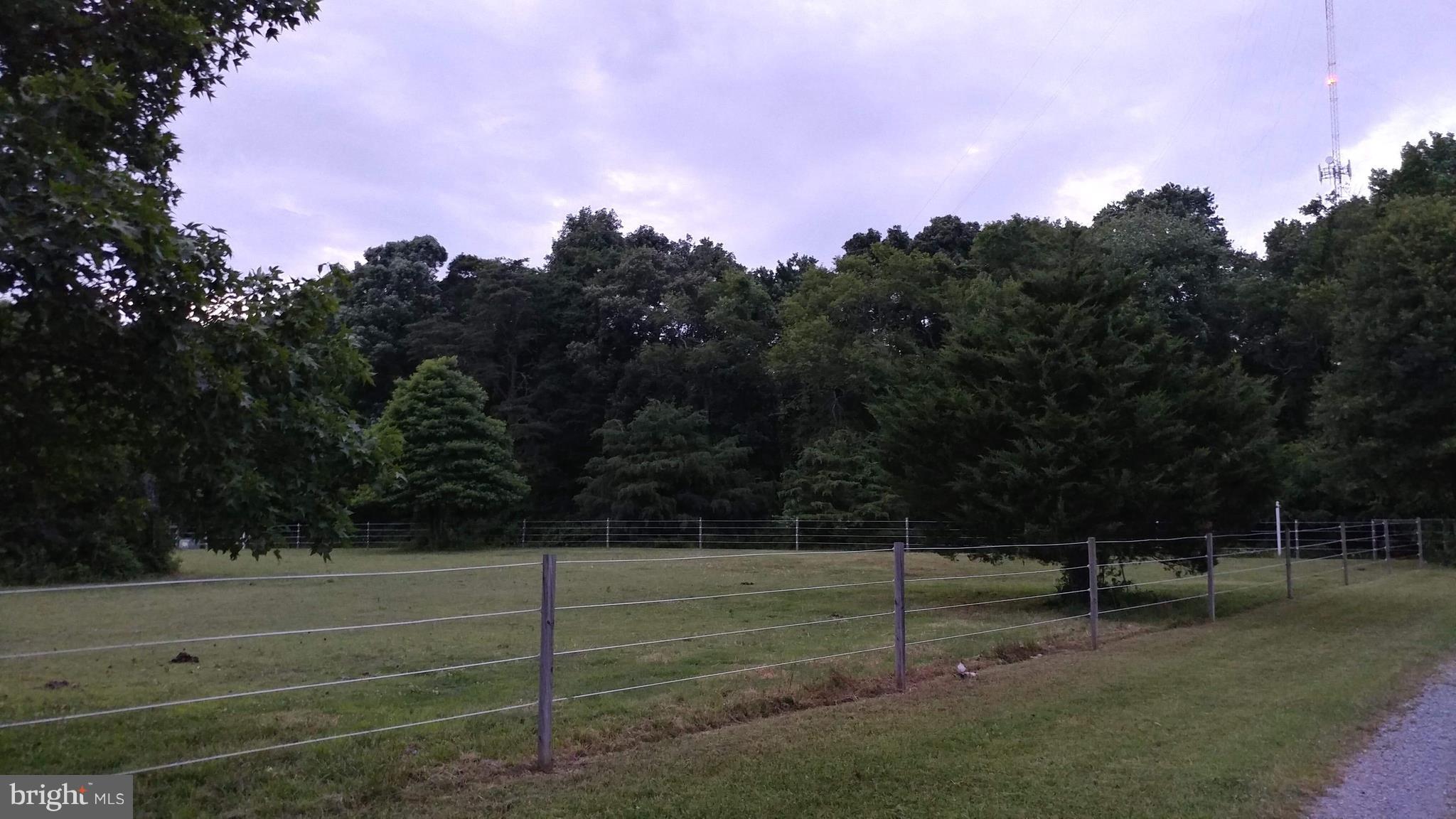 4919 Payne Road Hurlock, MD 21643 - Photo 13 of 16 PASTURE