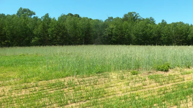 $23,900 | Lot 7 Maple Lane, Siren, WI 54872