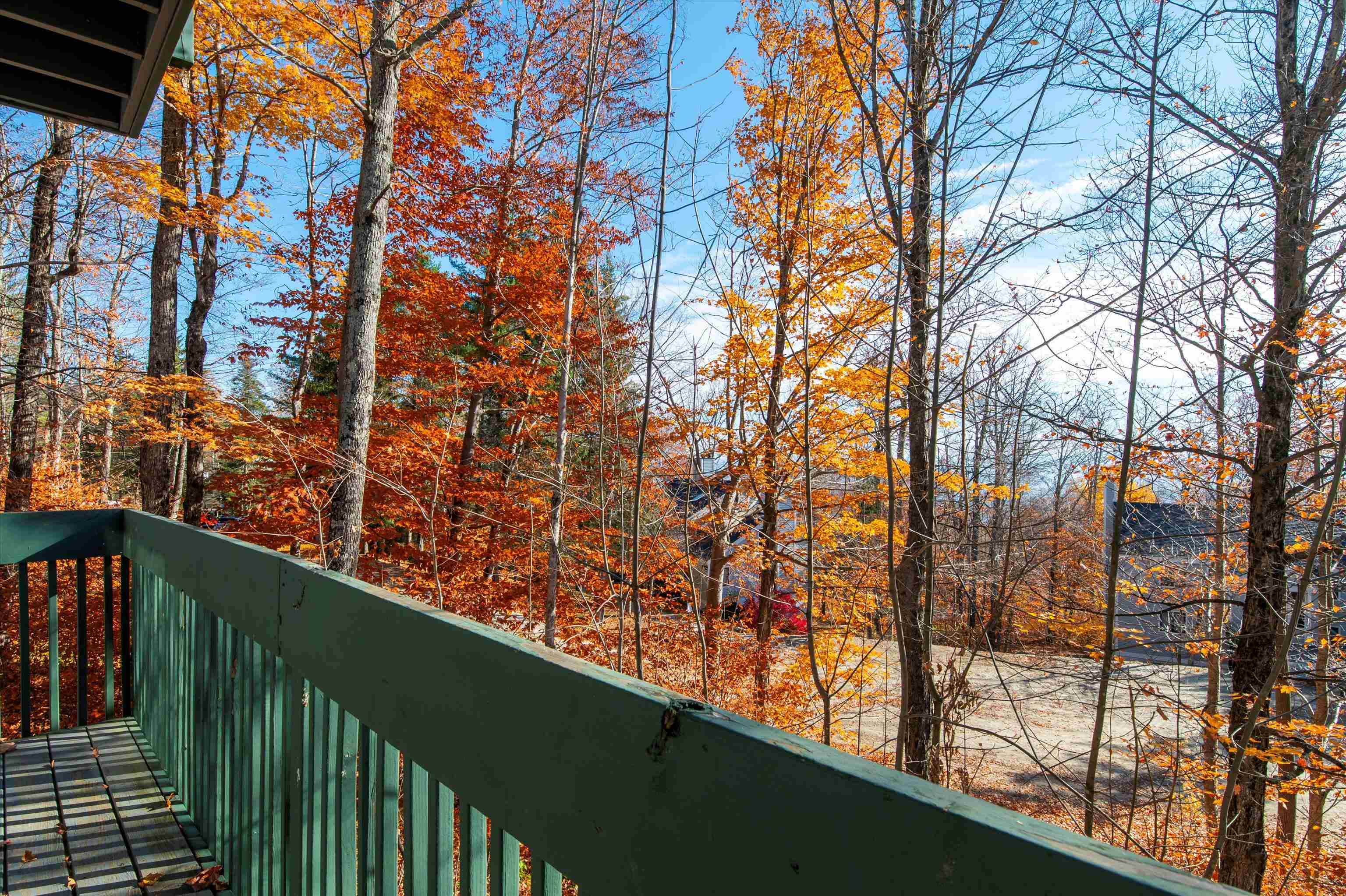38 Okemo Trailside Extension, Unit 8A Ludlow, VT 05149 - Photo 23 of 23