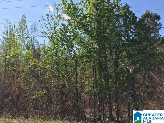 1 Shoal Creek Road, Unit 1 Ashville, AL 35953 - Photo 7 of 7