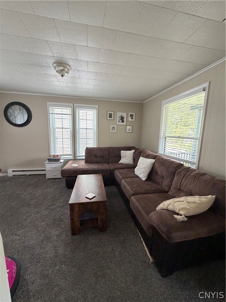 59 Cayuga Street Auburn, NY 13021 - Photo 17 of 27 Living Room