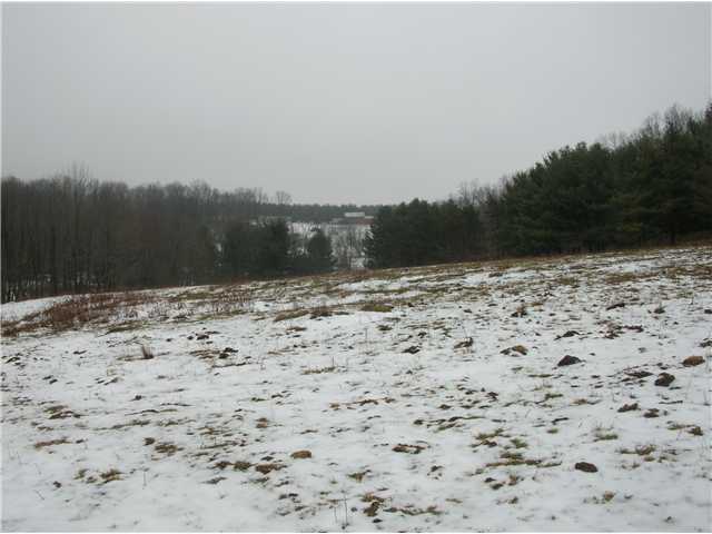 0 Earlywine Road Frazeysburg, OH 43822 - Photo 2 of 4