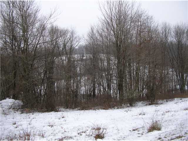 0 Earlywine Road Frazeysburg, OH 43822 - Photo 3 of 4