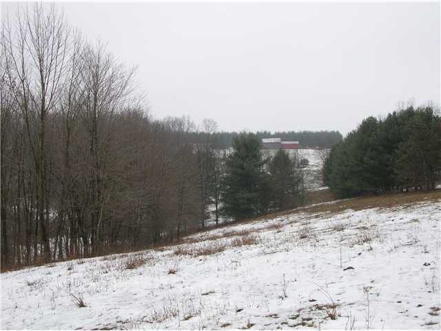 0 Earlywine Road Frazeysburg, OH 43822 - Photo 4 of 4