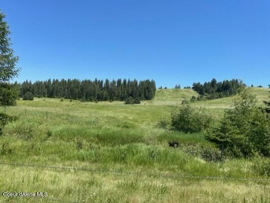 20 Acres Private Larson Road Desmet, ID 83824 - Photo 1 of 1 20 acre parcel