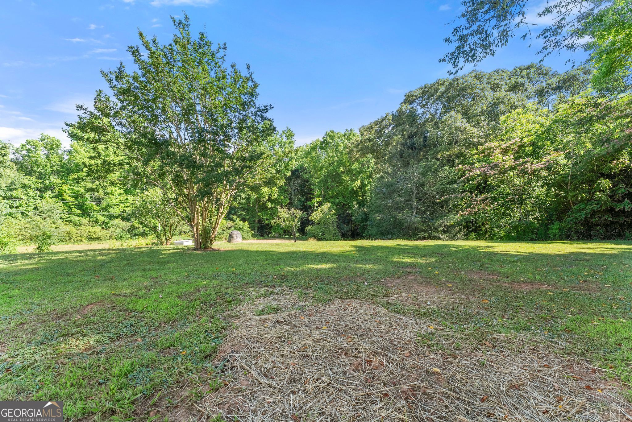 638 Hazel Creek Road Mount Airy, GA 30563 - Photo 37 of 50