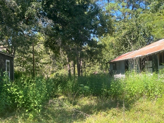 1304 Railroad Avenue Shepherd, TX 77371 - Photo 4 of 5 a backyard of a house with lots of green space