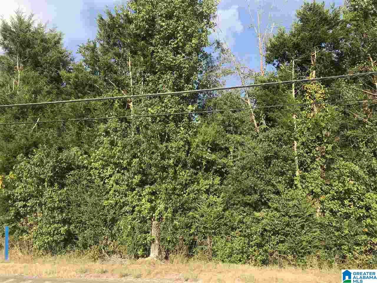 71 Highway 119, Unit 1 Alabaster, AL 35007 - Photo 1 of 1