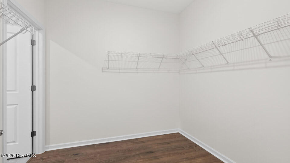 369 Alexis Loop Sanford, NC 27330 - Photo 28 of 41 Closet