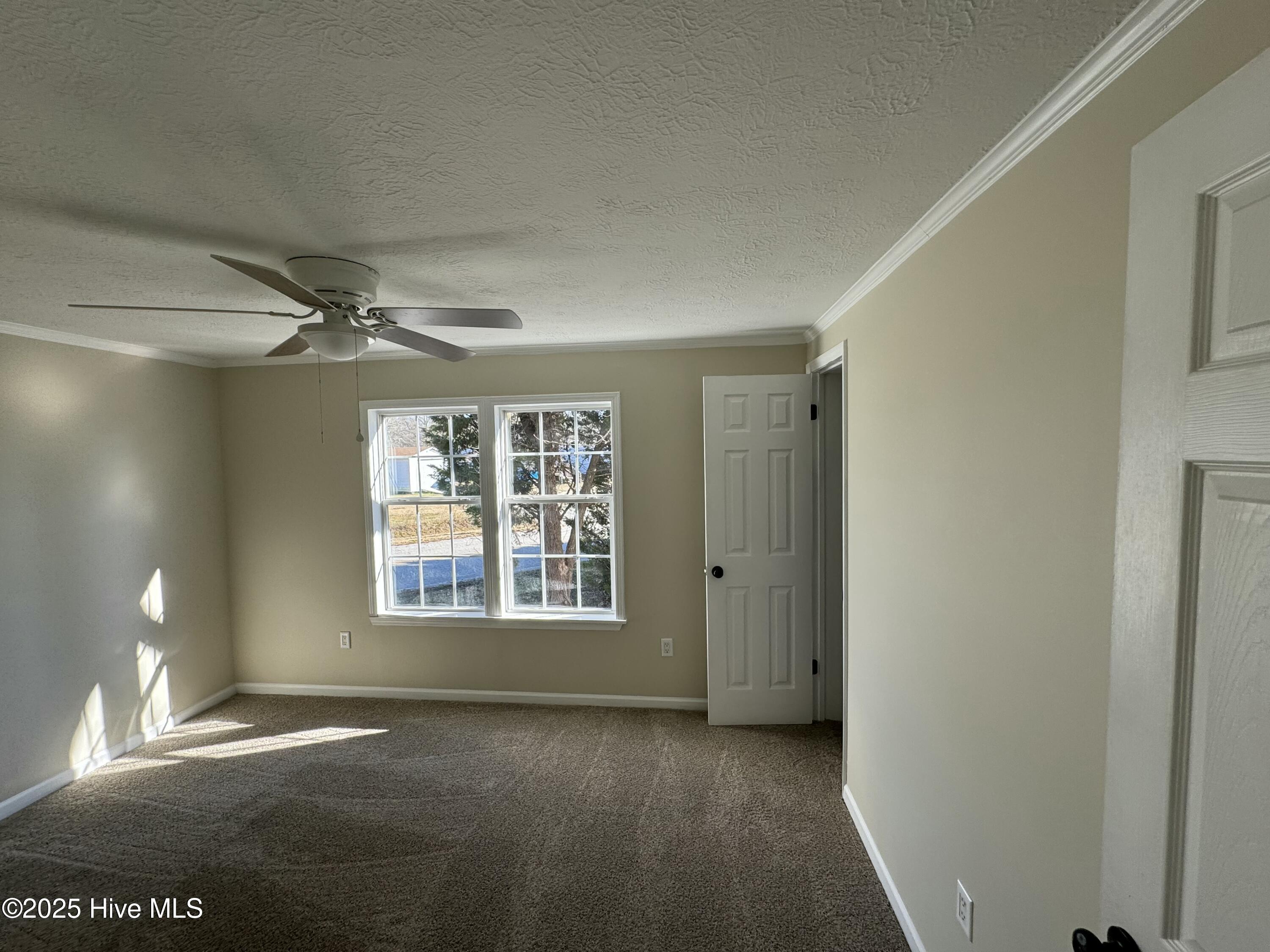 3895 Taylor Road Farmville, NC 27828 - Photo 13 of 25 tempImaged3WRK8