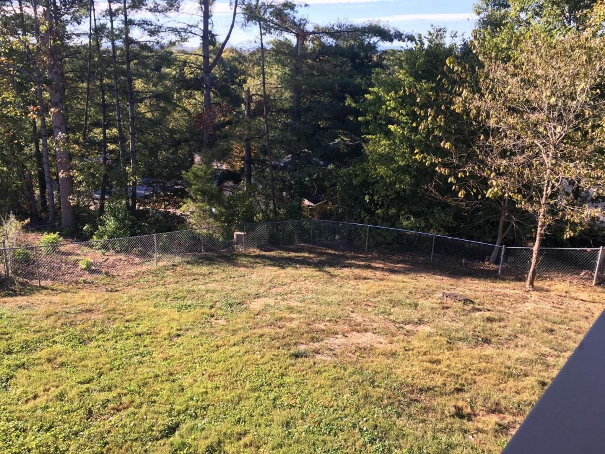 103 Clemson Drive Oak Ridge, TN 37830 - Photo 18 of 23 Gallery Image 18