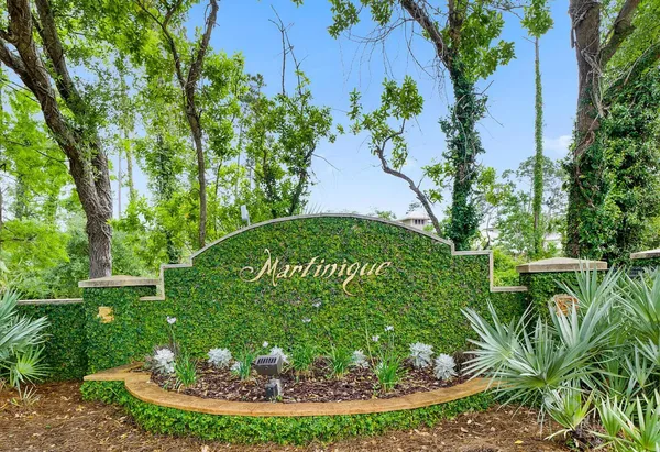 a view of a garden with a tree