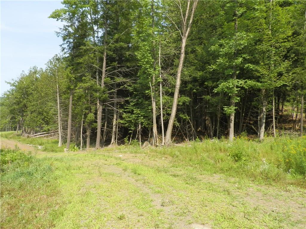 Lot 15 Pullen Road Garland, ME 04939 - Photo 6 of 19 Photo