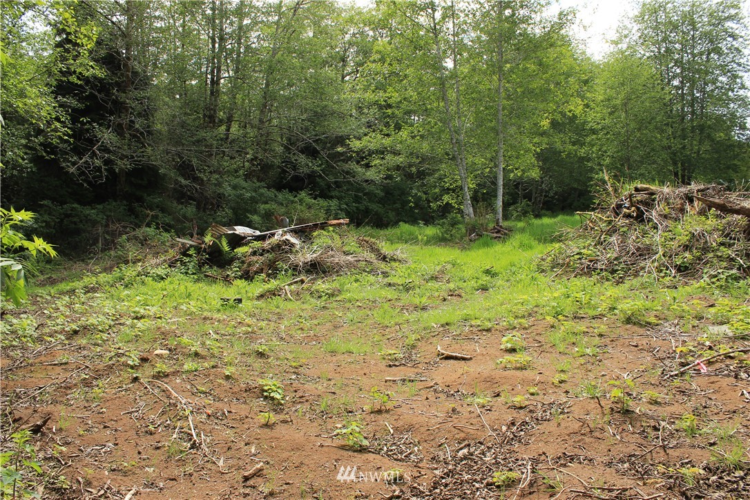 8903 La Push Road Forks, WA 98331 - Photo 18 of 24 Gallery Image 18