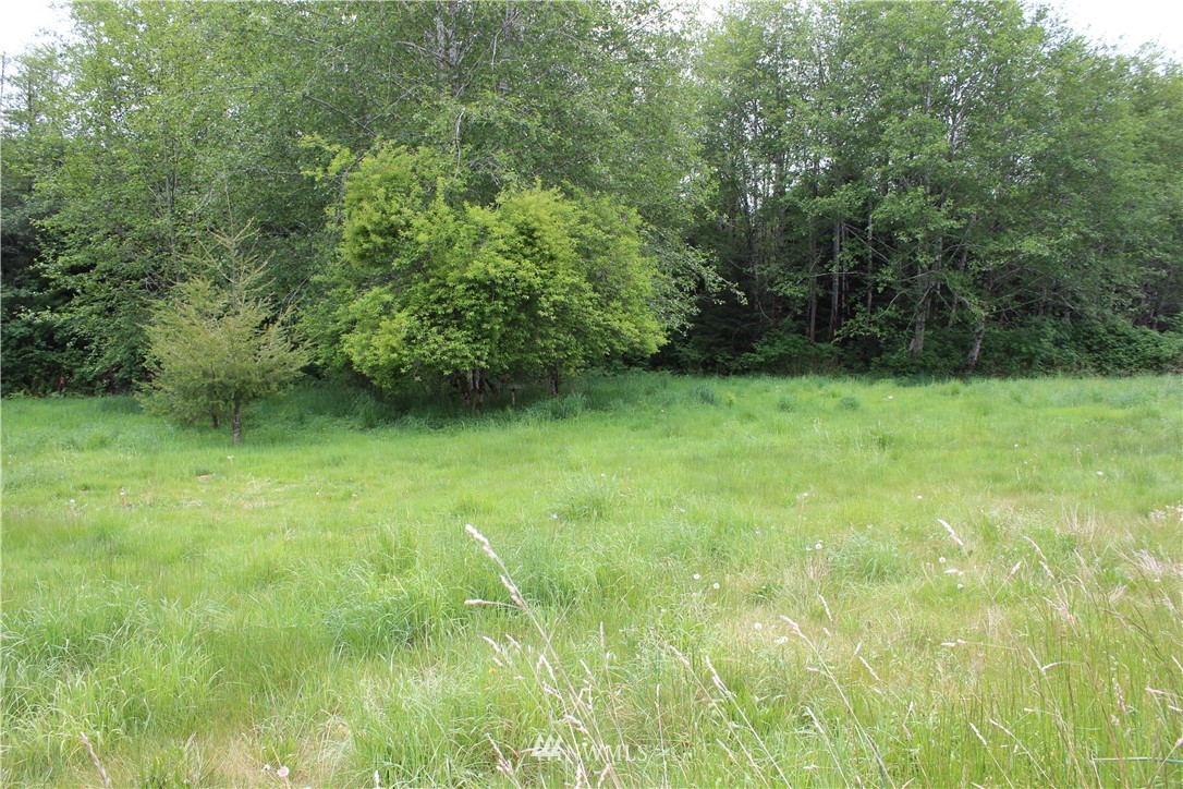 8903 La Push Road Forks, WA 98331 - Photo 3 of 24 Gallery Image 3