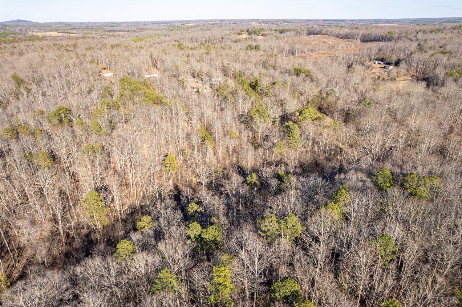 3629 Bear Creek Road Rustburg, VA 24588 - Photo 54 of 54 a view of city and mountain
