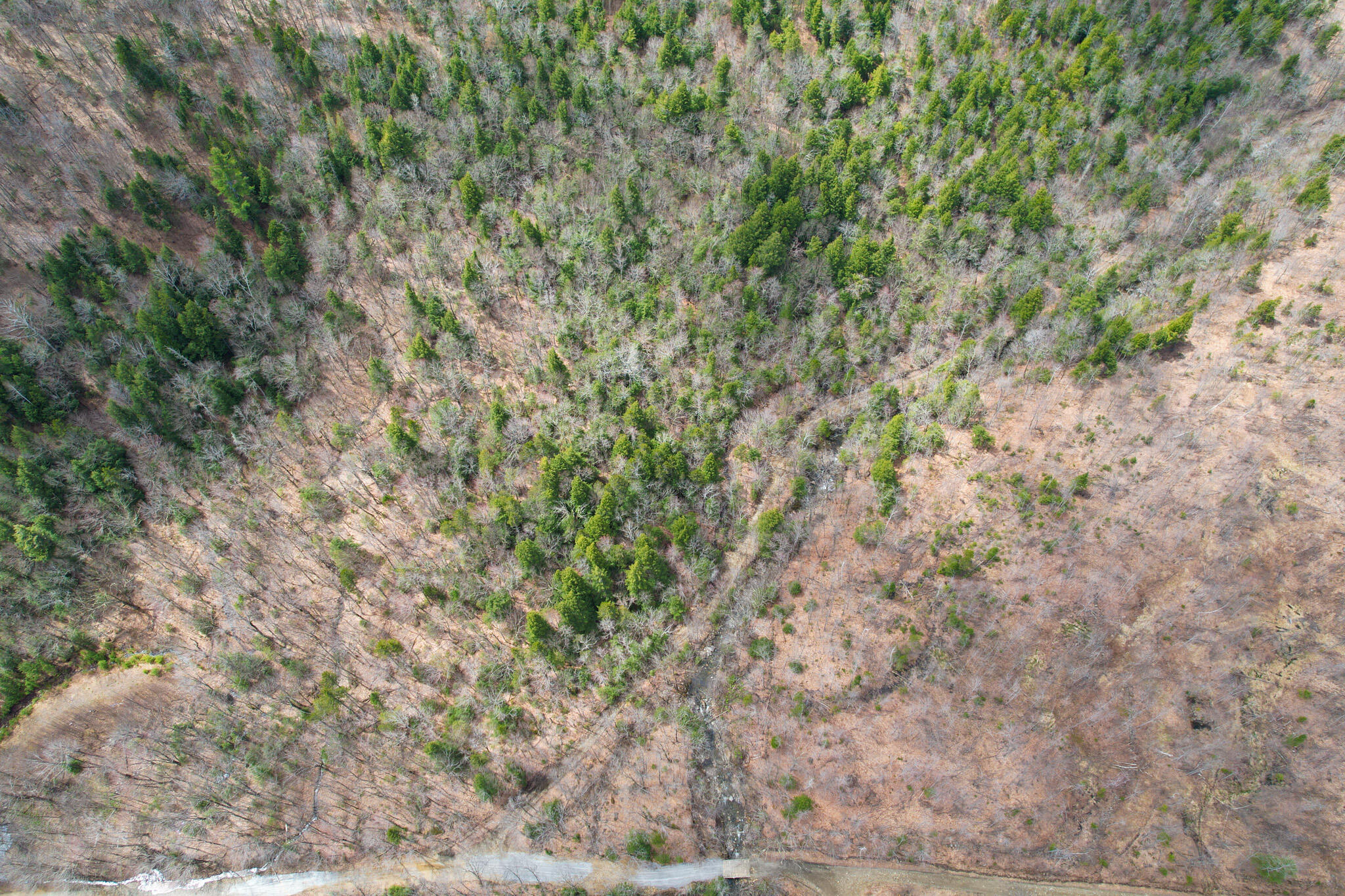 Mr02-l019 Holman Pond Road Temple, ME 04984 - Photo 27 of 40 Holman Lot 19
