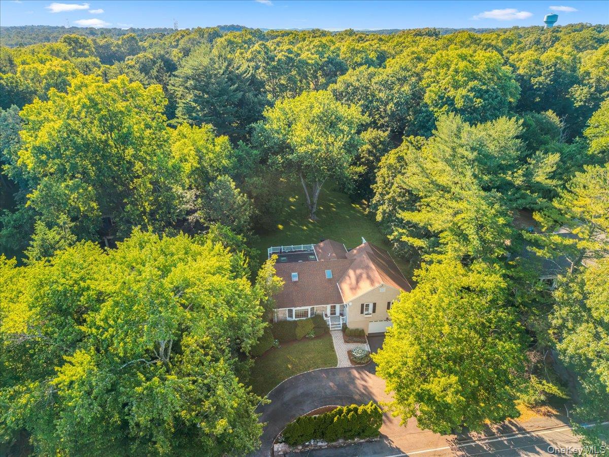 372 Fort Hill Road Scarsdale, NY 10583 - Photo 32 of 40 Aerial view of the house and stunning setting