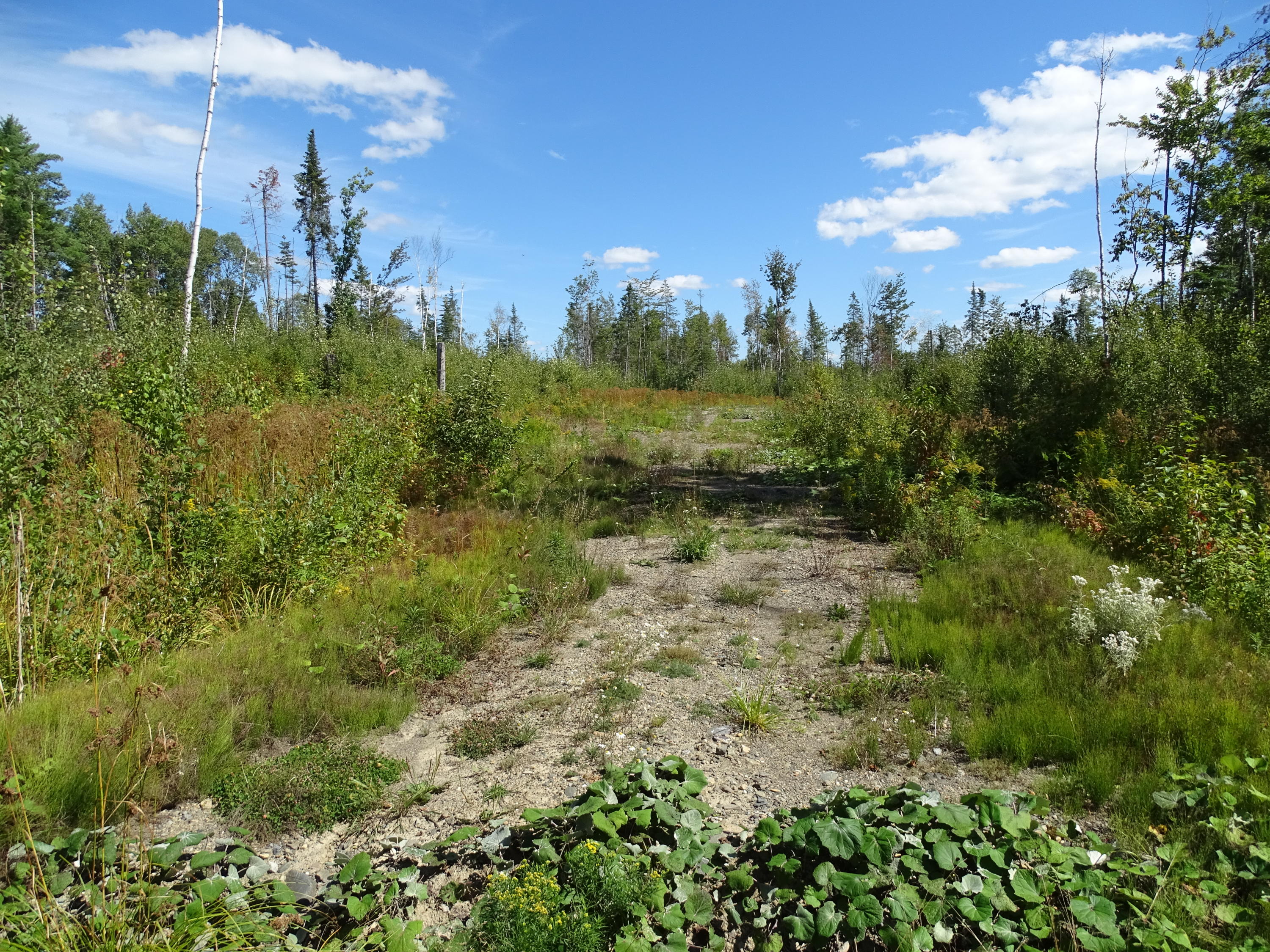 M8-l16 Grendell Road Mapleton, ME 04757 - Photo 11 of 12 DSC01897