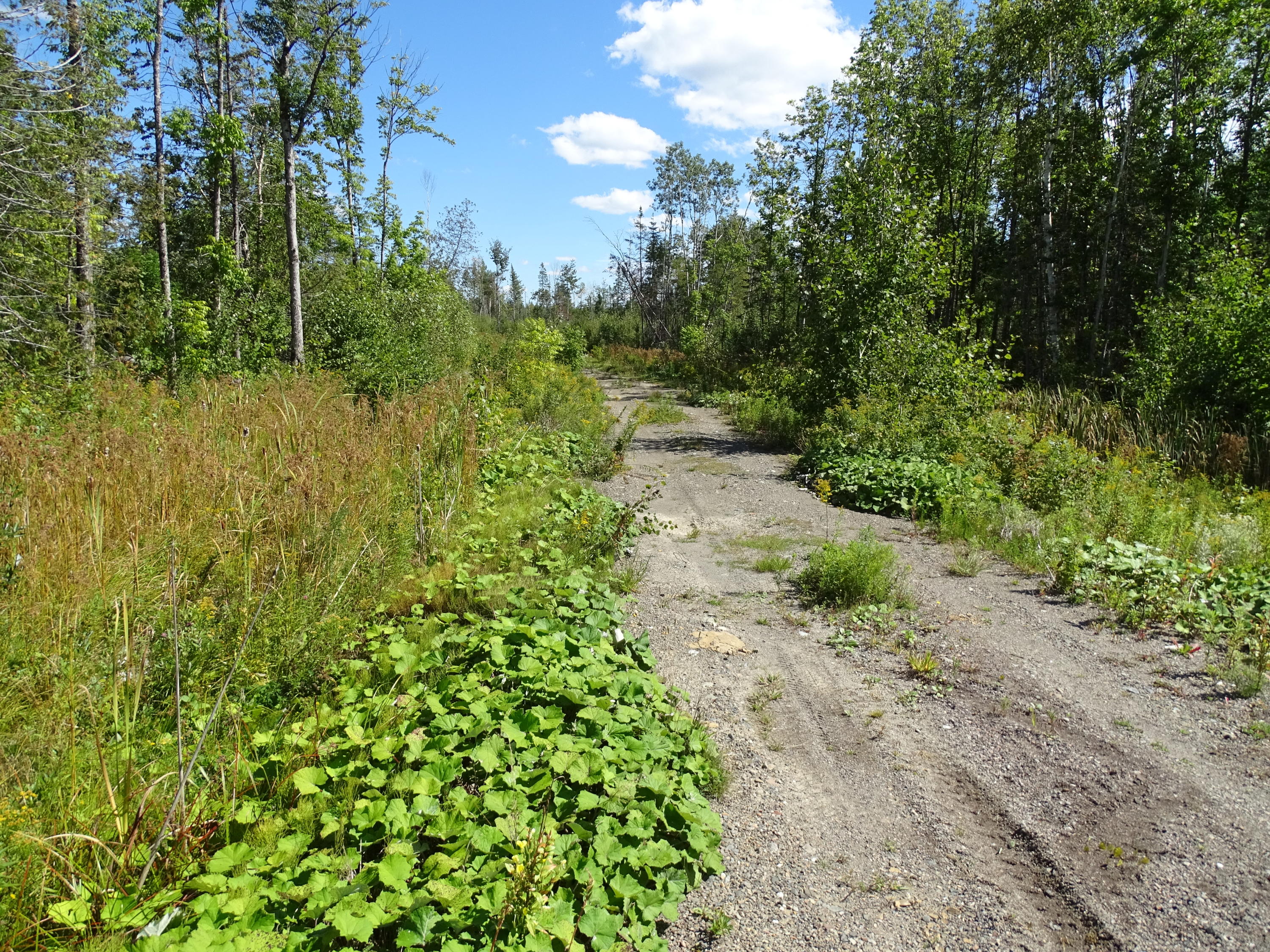 M8-l16 Grendell Road Mapleton, ME 04757 - Photo 10 of 12 DSC01895