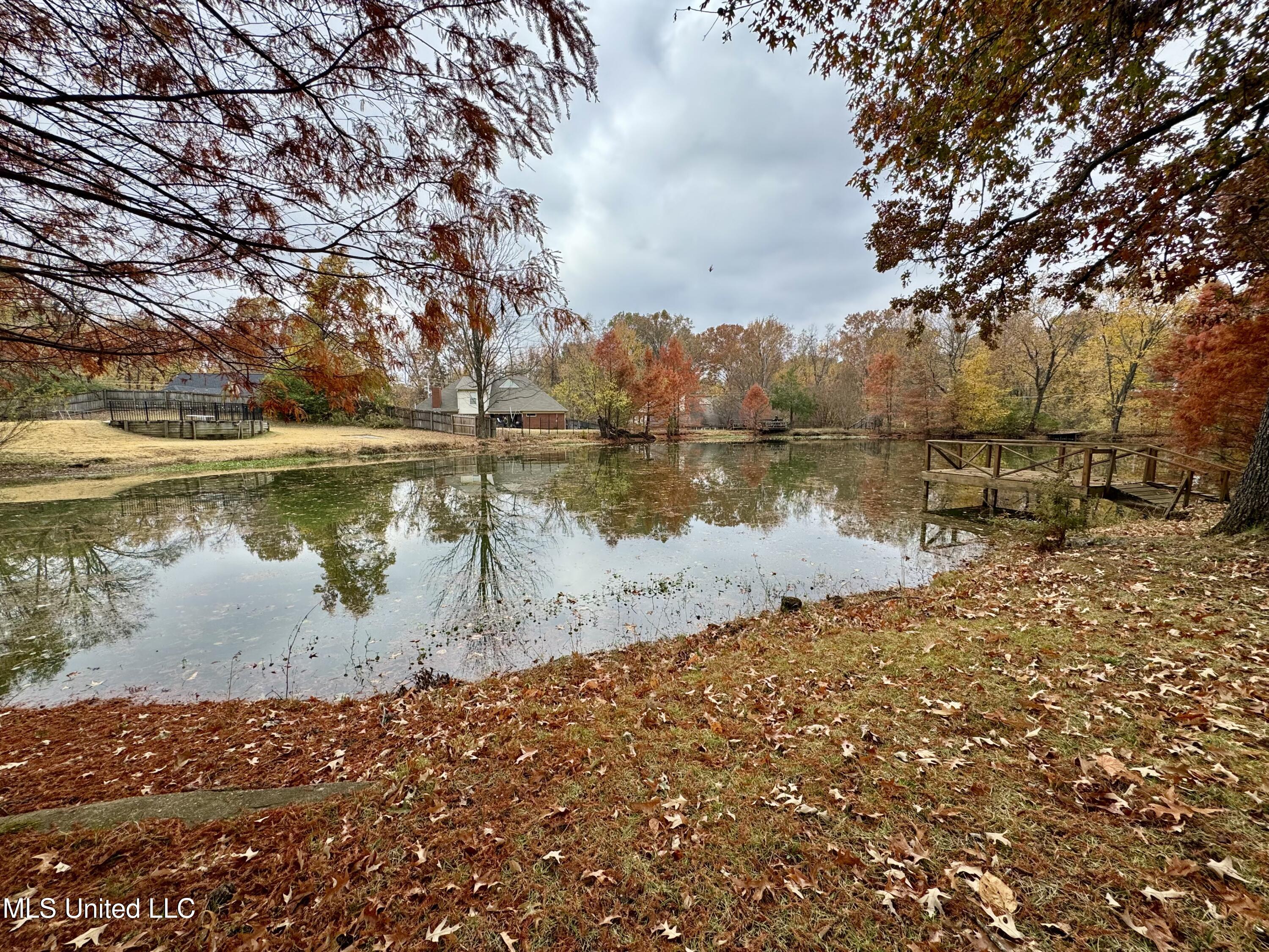 465 Augusta Drive Hernando, MS 38632 - Photo 44 of 45 IMG_3069