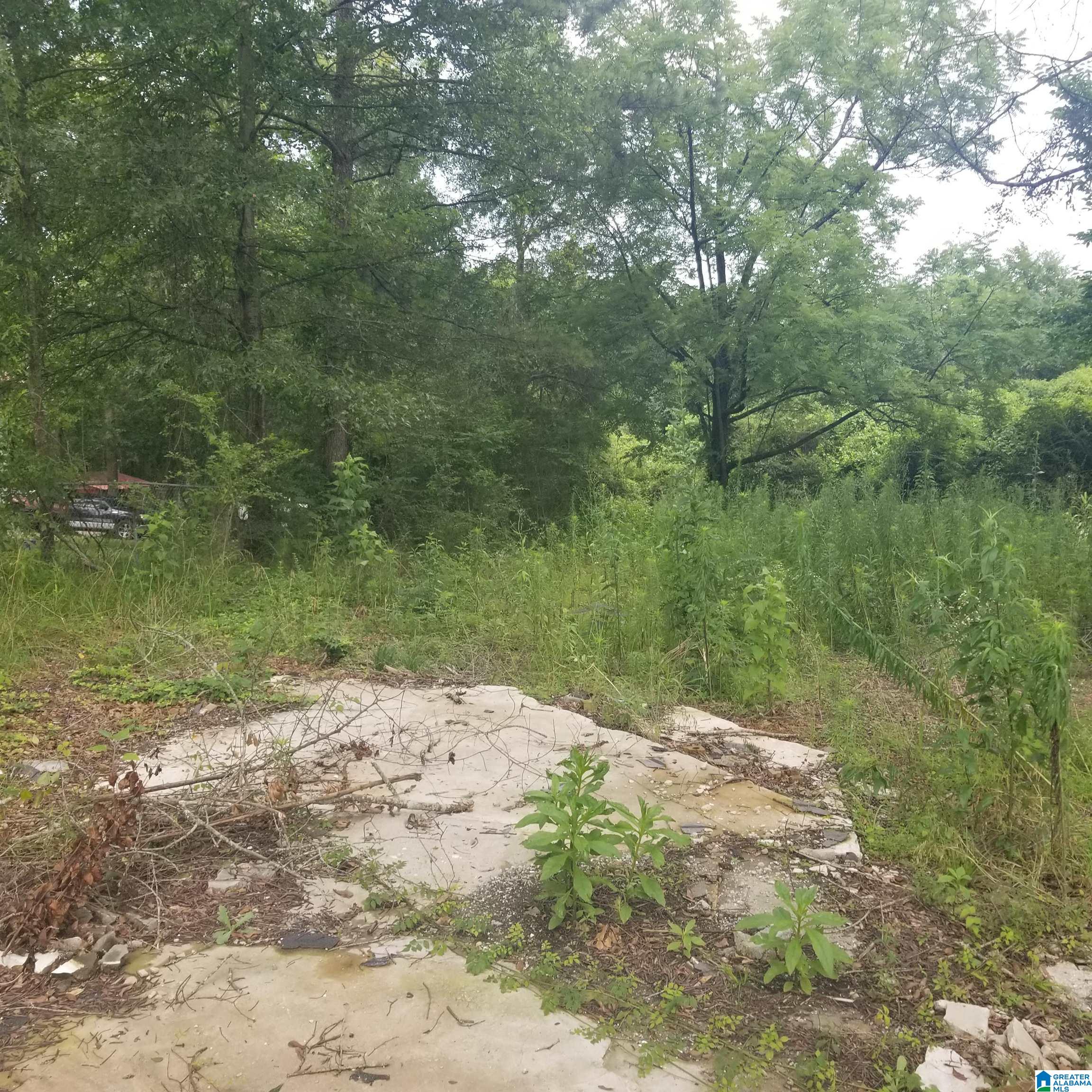 11284 Us Highway Riverside, AL 35135 - Photo 2 of 20