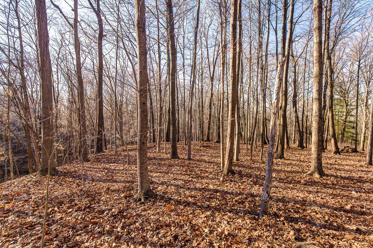 741 Winter Road Delaware, OH 43015 - Photo 35 of 35 Gallery Image 35