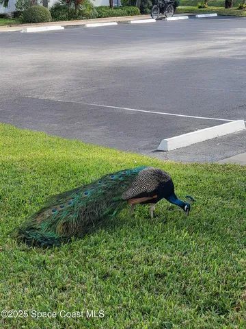 $530,000 | 807 Mystic Drive, Unit C210, Cape Canaveral, FL 32920