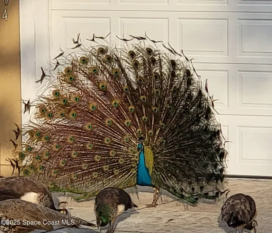 $530,000 | 807 Mystic Drive, Unit C210, Cape Canaveral, FL 32920