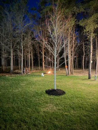$250,000 | 10992 Naples Road Southeast, Fife Lake, MI 49633