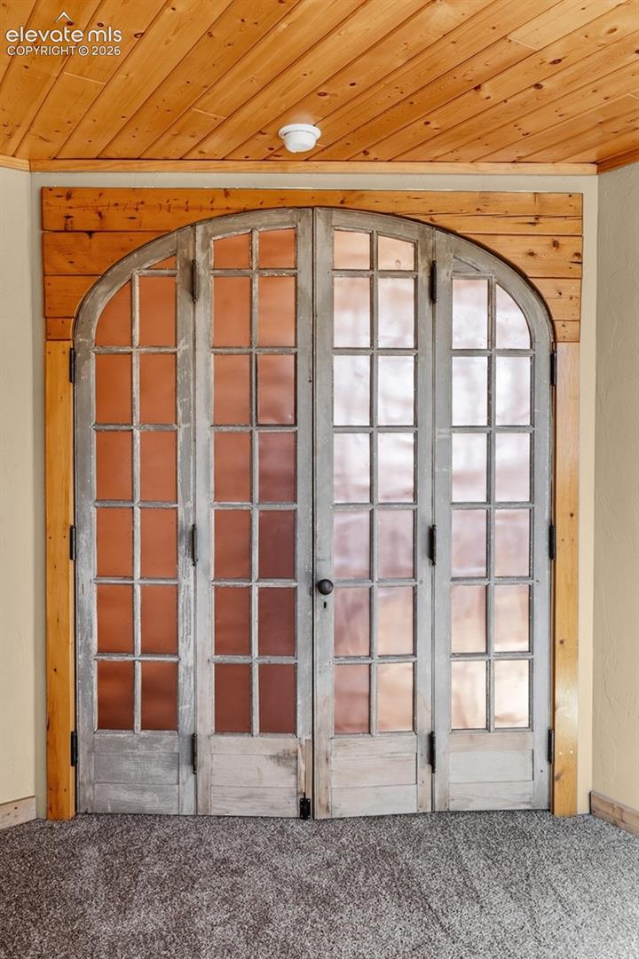 3303 Trail Creek Road Lake George, CO 80827 - Photo 32 of 49 Antique double doors