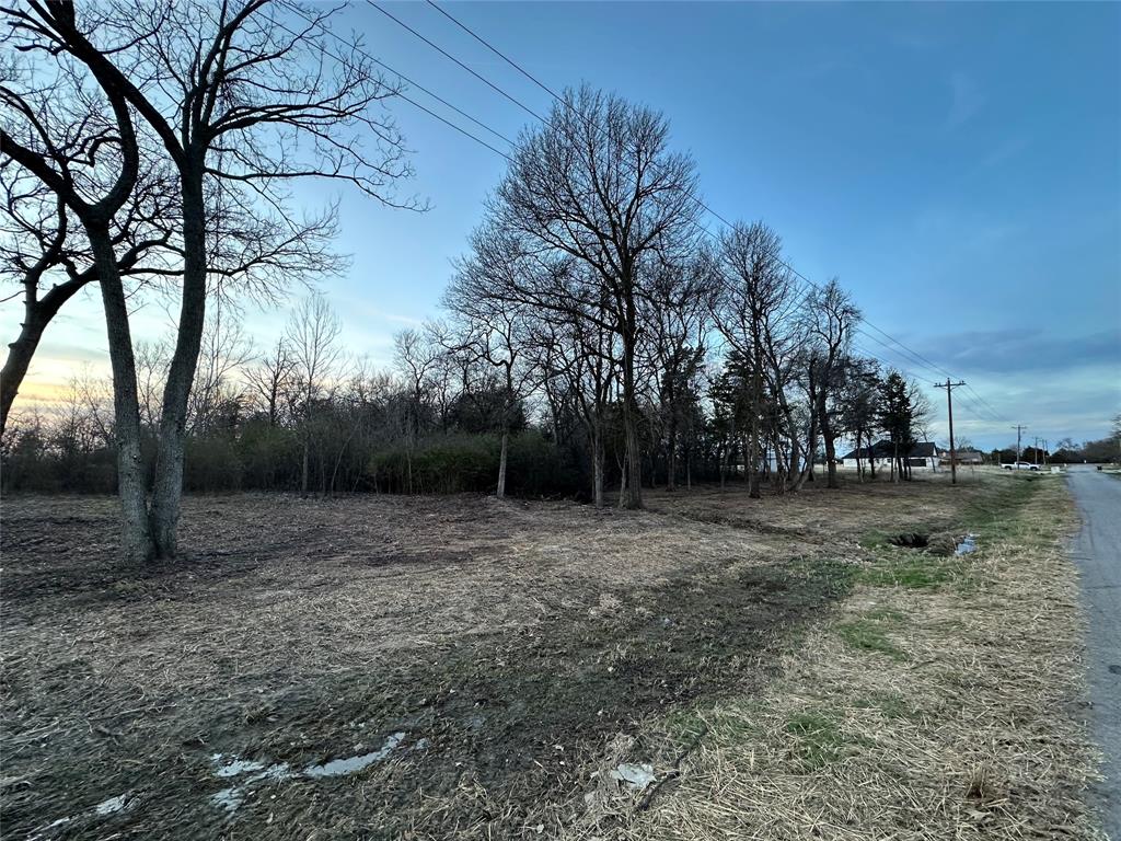3136 County Road 1076 Celeste, TX 75423 - Photo 2 of 5 a view of outdoor space with trees